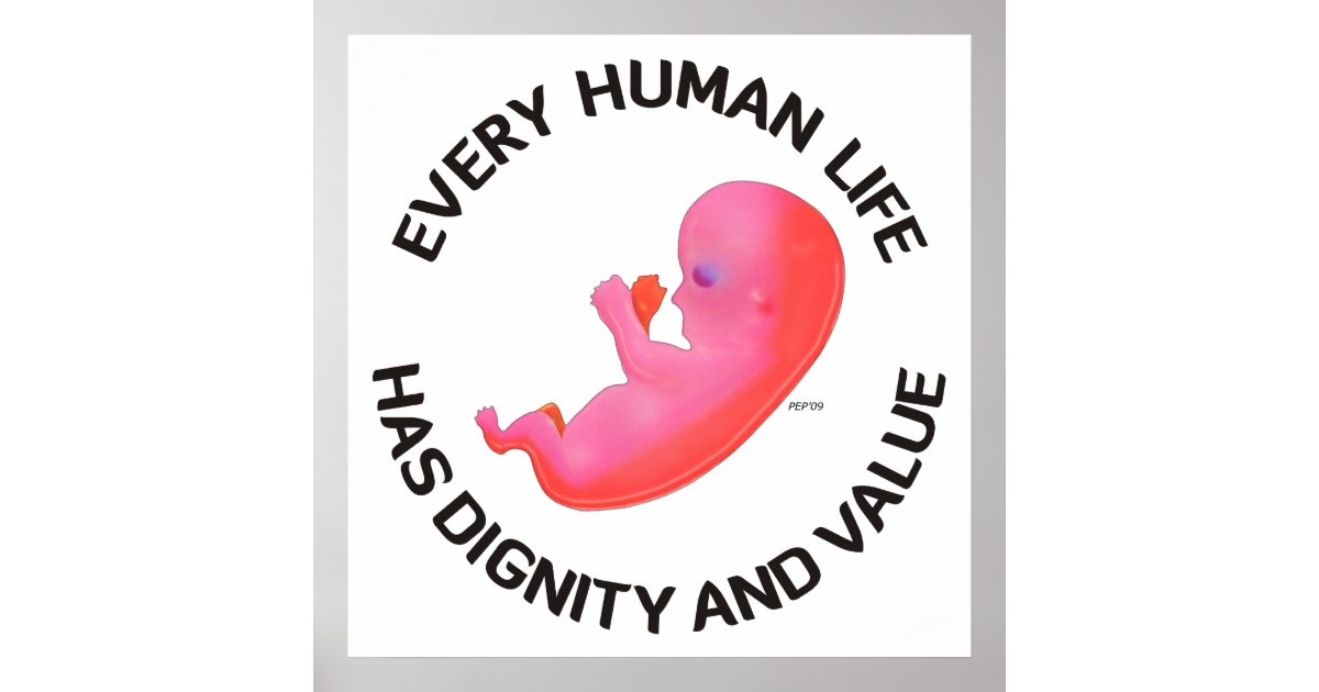 Every Human Life Poster | Zazzle