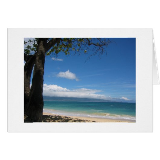 Every little thing is gonna be alright (Front Horizontal)