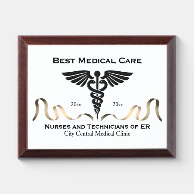 Every Medical Provider Deserves an Award Plaque (Horizontal)