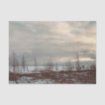 Every Occasion Landscape Gift Wrap Tissue Paper