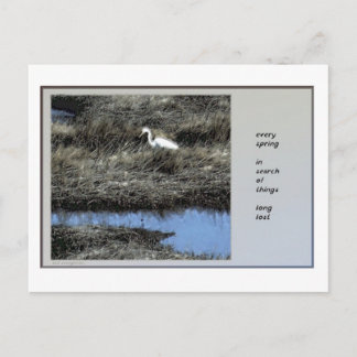 Every Spring Haiku Postcard