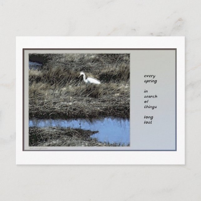 Every Spring Haiku Postcard (Front)