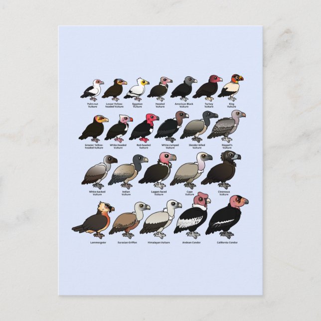 Every Vulture Postcard (Front)