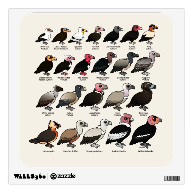 Every Vulture Wall Decal (Front)