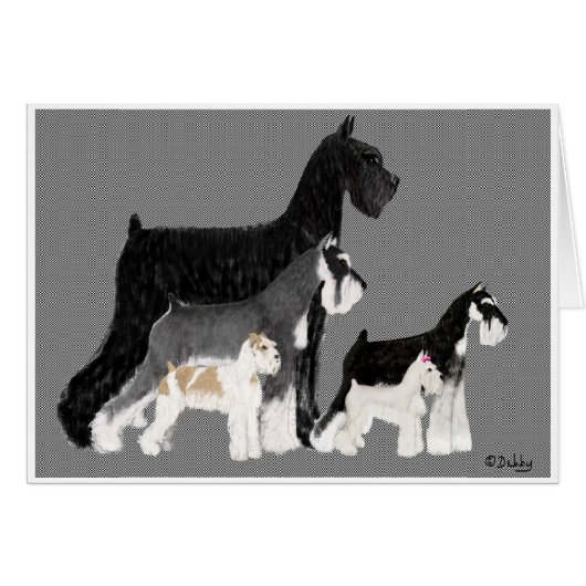 Everybody Different (Front Horizontal)