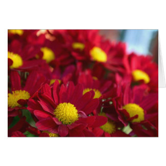 Everybody Has a Mum Cards