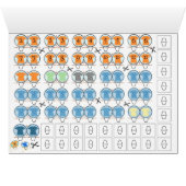 Everybody is a Holland Soccer Coach Strategy Kit (Inside Horizontal (Bottom))