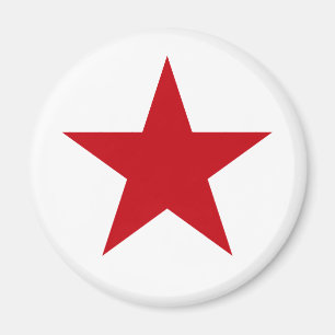 Everybody loves Stars Magnet
