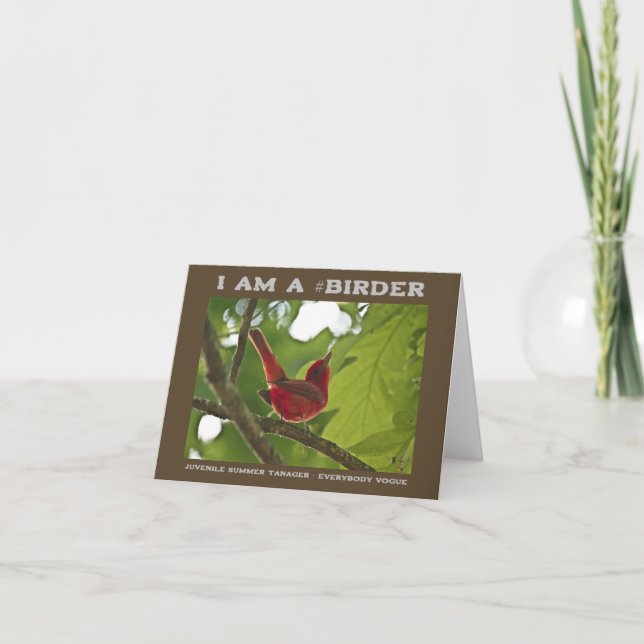 Everybody Vogue Juvenile Summer Tanager Birder Card (Front)