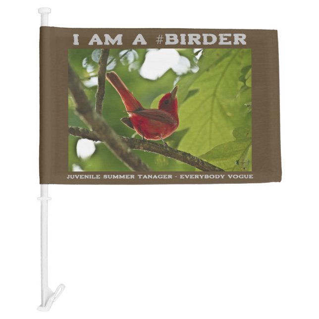 Everybody Vogue Juvenile Summer Tanager Birder Pos Car Flag (Front)