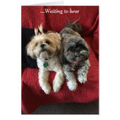 Everyday Cards/ Grace & Glory (Front)