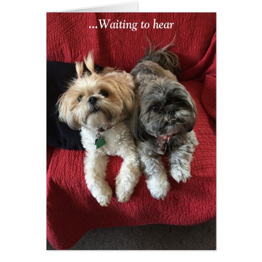 Everyday Cards/ Grace & Glory (Front)