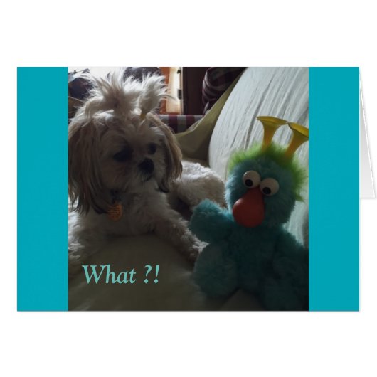 Everyday Cards/ Grace & Glory (Front Horizontal)