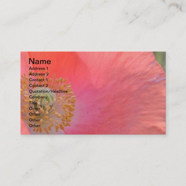 Everyday is an Opportunity Business Card (Front)