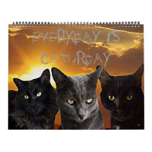 Everyday Is Caturday Calendar