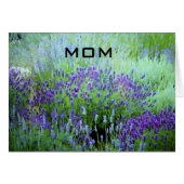 "EVERYDAY IS SPECIAL WITH YOU MOM" (Front Horizontal)