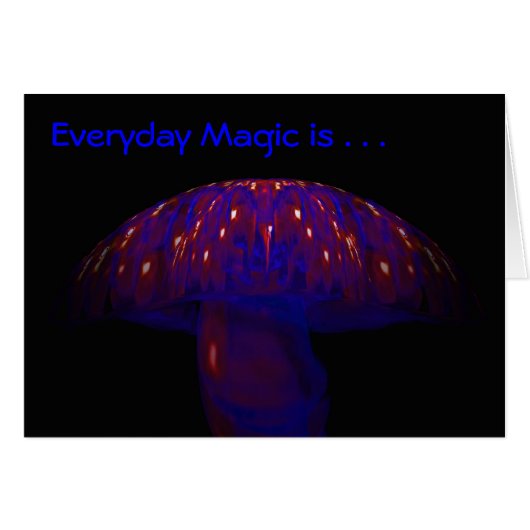 Everyday Magic is . . . Cards (Front Horizontal)