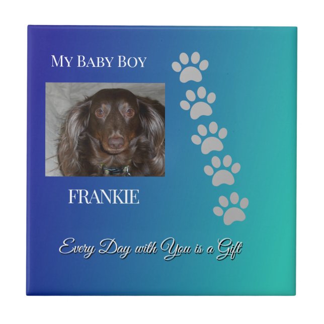 Everyday Pawprints Tribute Ceramic Tile (Front)