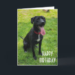 EVERYDAY W/ YOU IS SPECIAL BIRTHDAY WISHES CARD<br><div class="desc">THANK YOU FOR STOPPING BY ONE OF MY EIGHT STORES!</div>