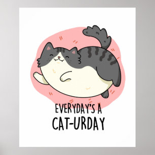 Everyday's A Cat-urday Funny Cat Pun Poster