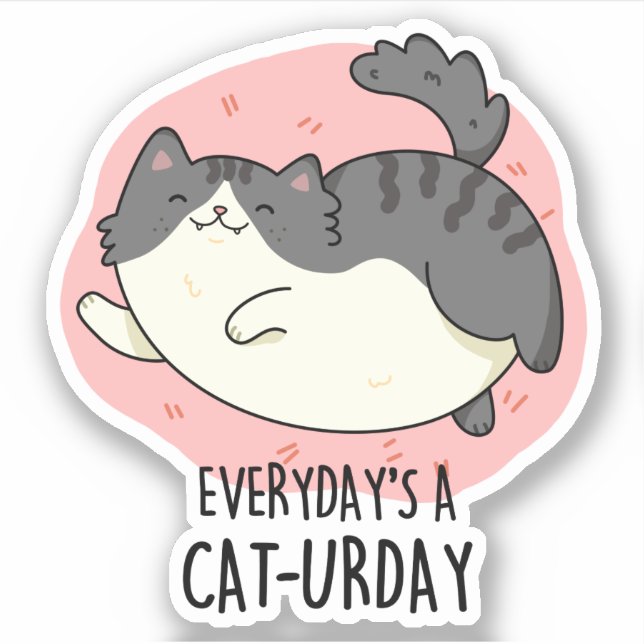Everyday's A Cat-urday Funny Cat Pun  Sticker (Front)