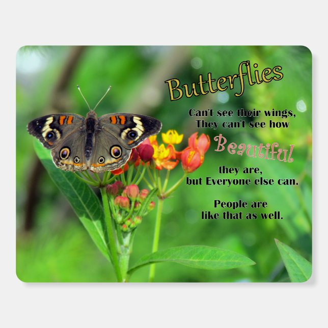 Everyone Is Beautiful - Butterfly Quote Foam Board (Front)