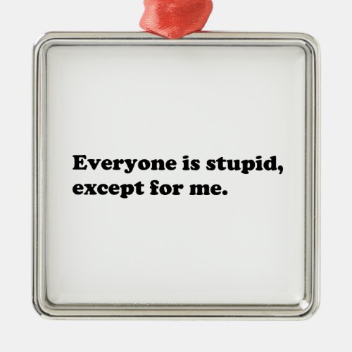 Everyone is stupid except for me metal ornament