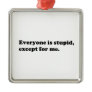 Everyone is stupid except for me metal ornament