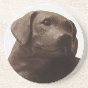 Everyone Loves a Labrador Retriever Drink Coaster