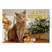 Everyone loves gifts (Front Horizontal)