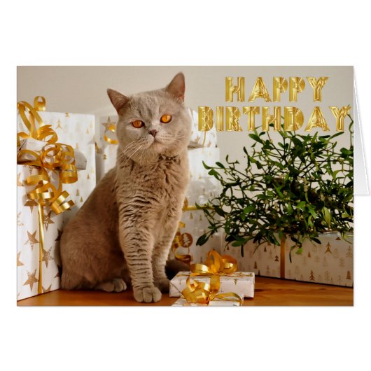 Everyone loves gifts cards (Front Horizontal)
