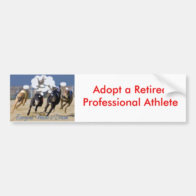 Everyone Needs a Dream Bumper Sticker (Front)