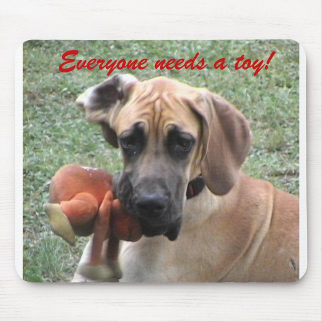 Everyone needs a toy! mouse pad (Front)