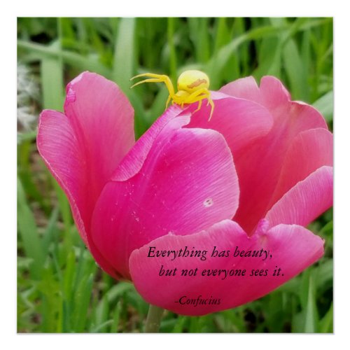 Everything Has Beauty Confucius Spider on Tulip Poster