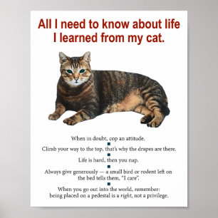 Everything I Need To Know About Life I Learned Fro Poster