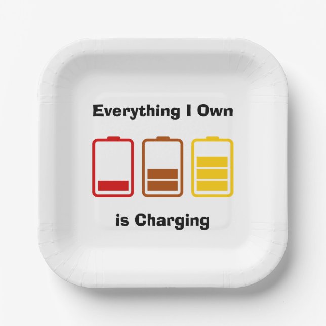 Everything I Own is Charging Paper Plates (Front)