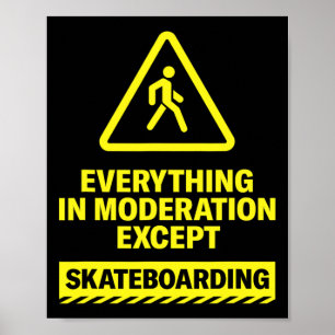 Everything In Moderation Except Skateboarding Spor Poster