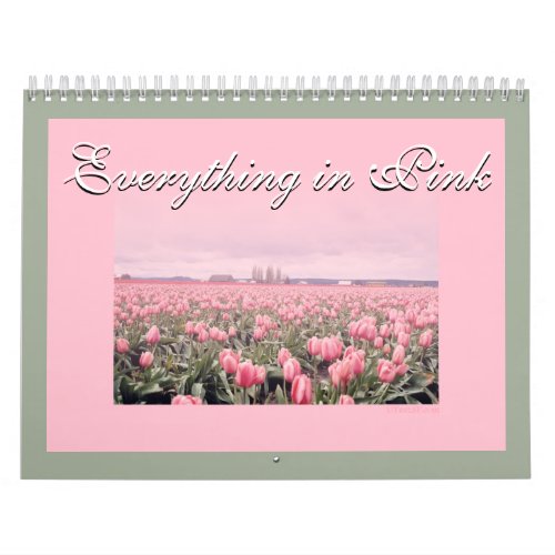 Everything is in Pink 2018 Calendar