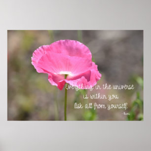 Everything Poppy Poster