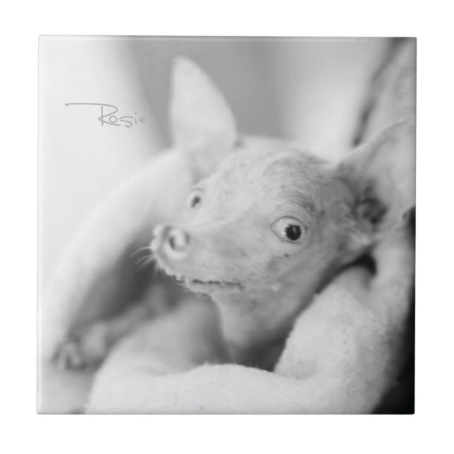 Everything Rosie Ceramic Tile (Front)