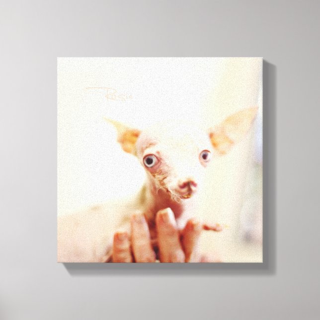 Everything Rosie Photo Canvas Print (Front)