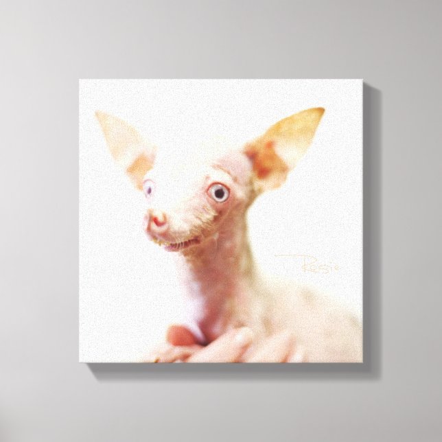Everything Rosie Photo Canvas Print (Front)