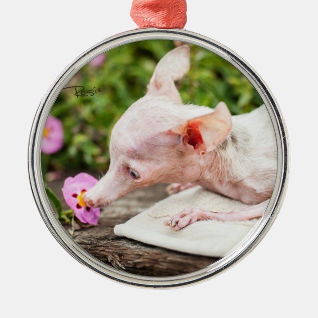 Everything Rosie Photo Ornament (Front)