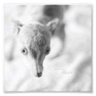 Everything Rosie Photo Print