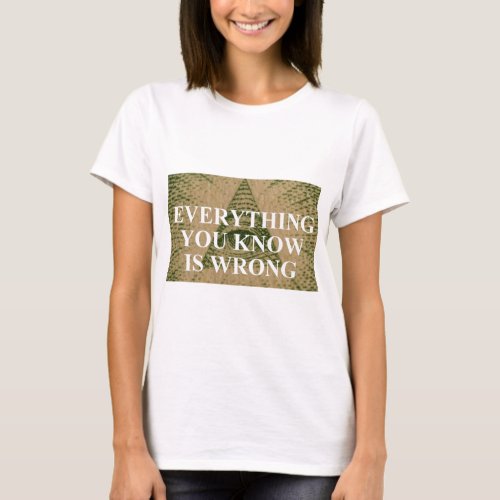 Everything you know is wrong T_Shirt