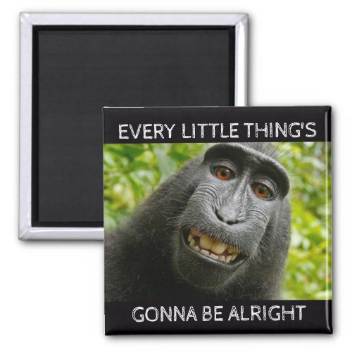 Everythings Alright Monkey Magnet