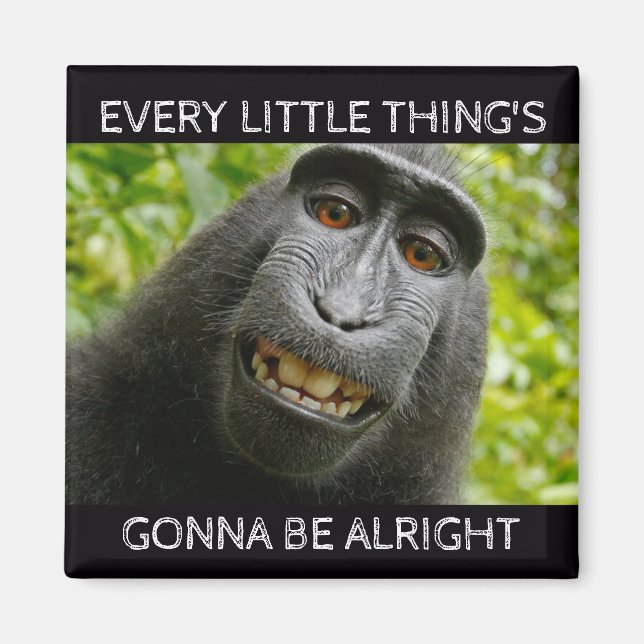 Everything's Alright Monkey Magnet (Front)