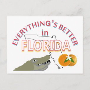 Everything's Better in Florida Postcard