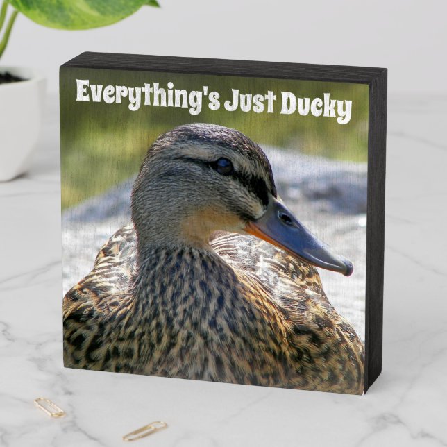 Everything's Just Ducky Meme Wooden Box Sign (In Situ Horizontal)