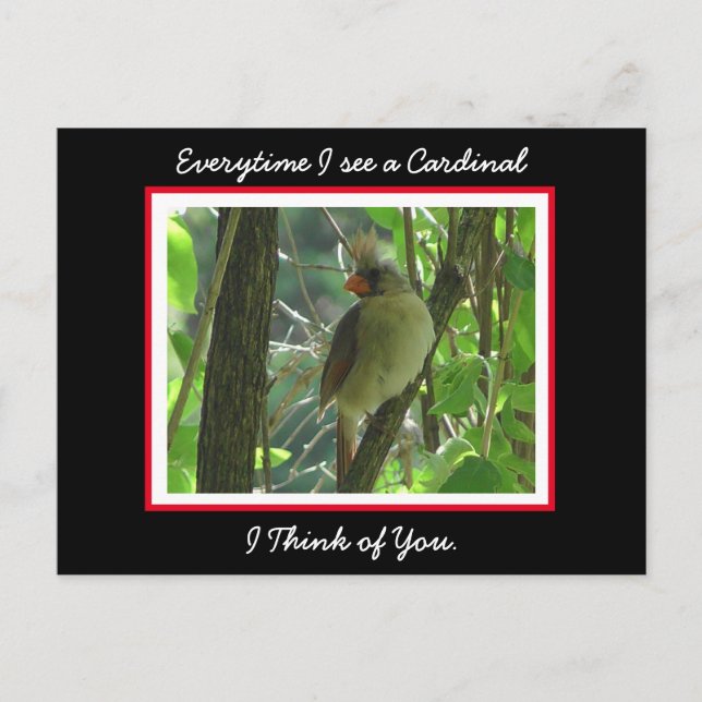 Everytime I see a Cardinal I think of You Postcard (Front)